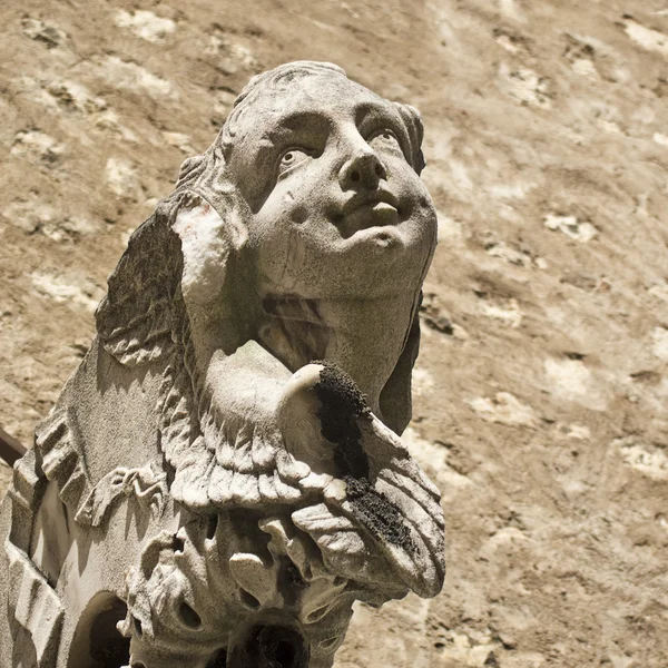 Каменный ангел — стоковое фото