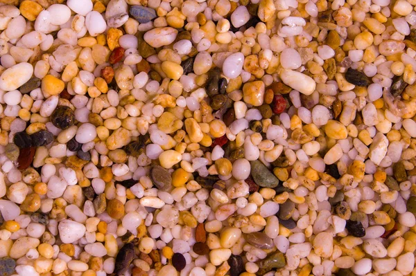 stock image Pebbles in water