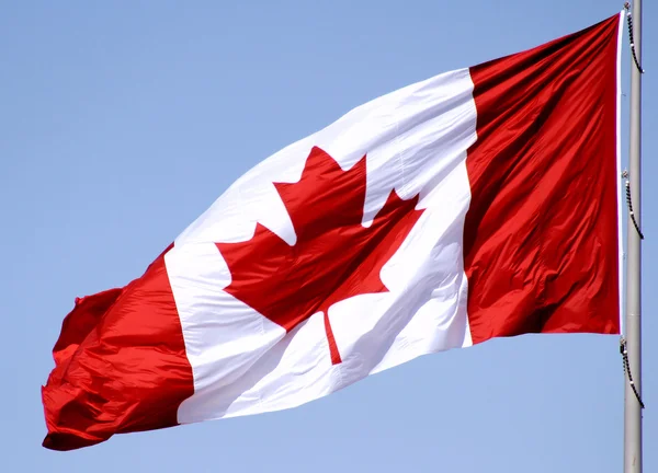 stock image Canada Flag