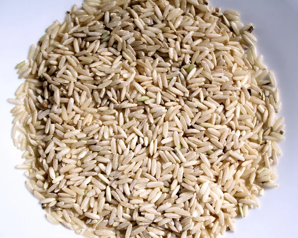 Vollkorn-brauner Reis — Stockfoto