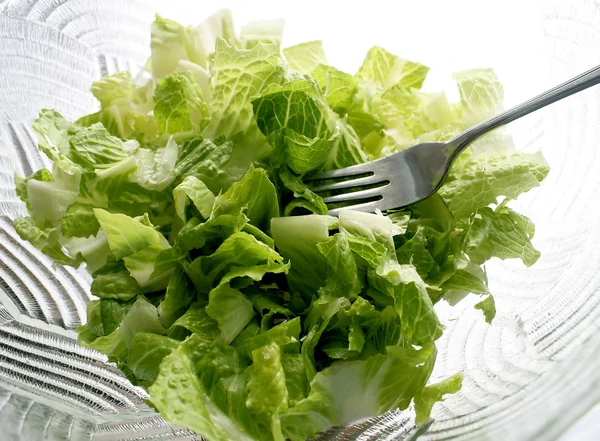 Salad segar — Stok Foto