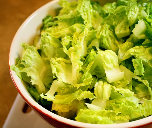 Friss salátával Stock Kép