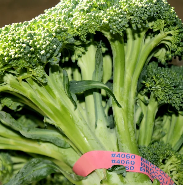 Brócoli fresco —  Fotos de Stock