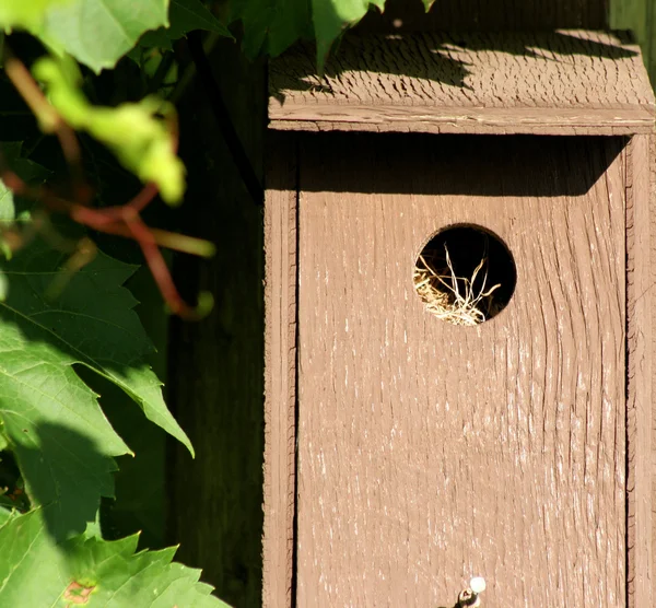 Birdhouse con nuevos inquilinos —  Fotos de Stock