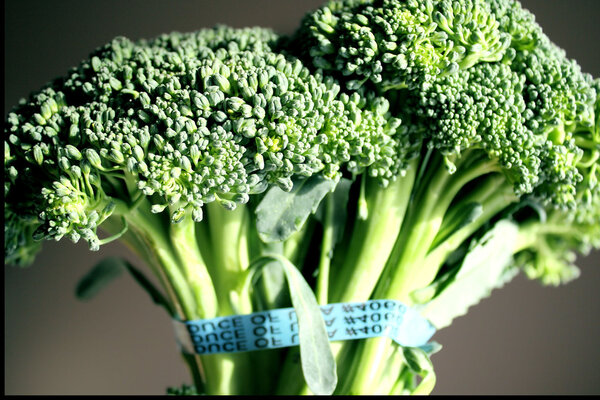 Head of fresh broccoli from supermarket