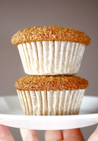 Färskt bakade muffins — Stockfoto