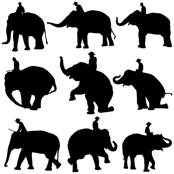 हत्ती — स्टॉक व्हेक्टर