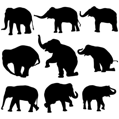 Vector elephant silhouettes clipart