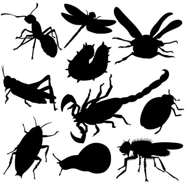 Insects clipart