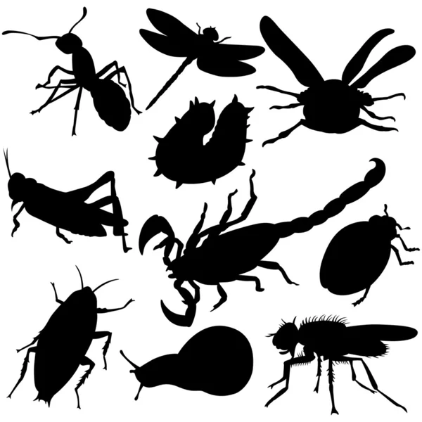 stock vector Insects