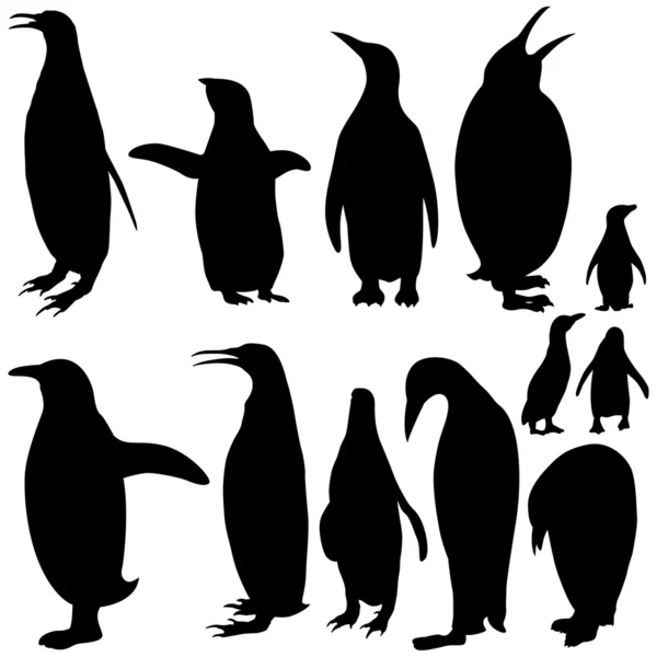 ベクトル ペンギン シルエット コレクション — ストックベクタ