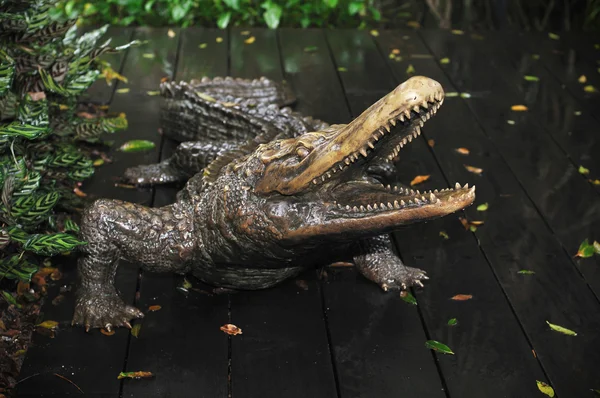 Statue of Crocodile — Stock Photo, Image