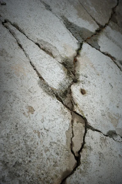 Textura de rocha rachada — Fotografia de Stock