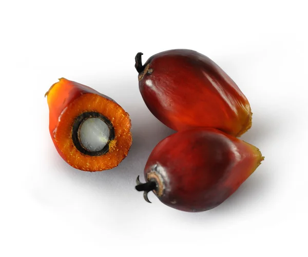 Пальмова олія фрукти — стокове фото
