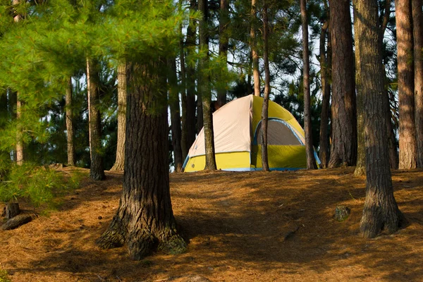 Tent Camping Campsite — Stock Photo, Image