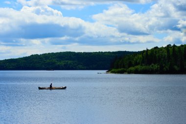 vahşi doğa göl kenarında canoeist