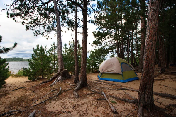 Campingplass i telt i skogen utenfor stranden royaltyfrie gratis stockfoto