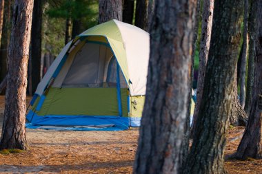 Ormanda kamp çadırı