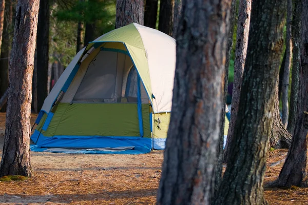 숲 속에서 캠핑 텐트 스톡 사진