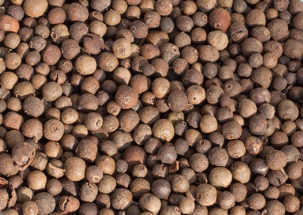 stock image Allspice