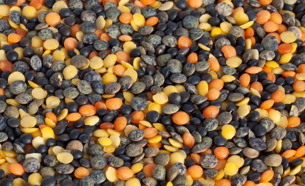 stock image Lentils