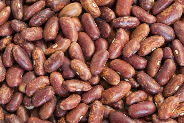 stock image Kidney Beans