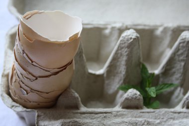 yığılmış yumurta kabukları