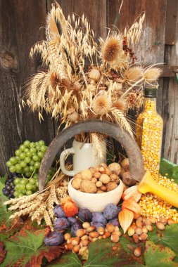 Autumn harvest clipart