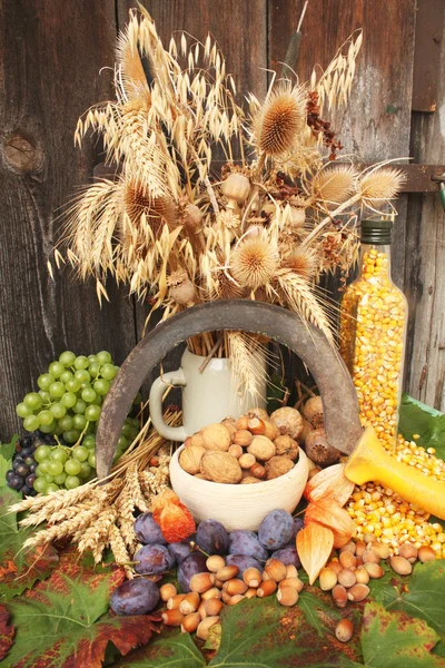 Autumn harvest — Stock Photo, Image