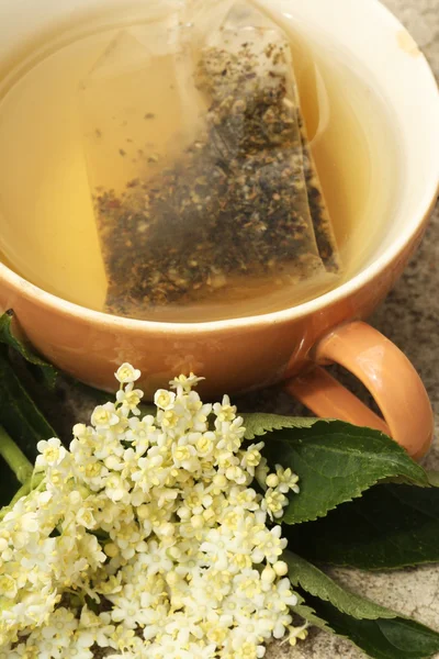 Elder tea — Stock Photo, Image