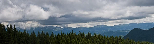 Panoraamatausta Karpaateilla. Kauniita vuoria ja maata — kuvapankkivalokuva