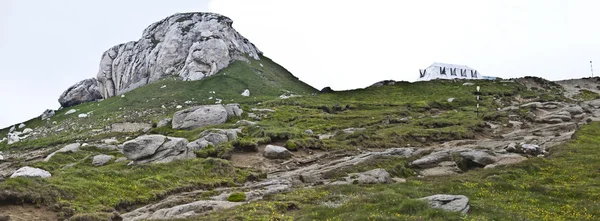 Panorama de fondo en Cárpatos. Hermosas montañas y tierra — Foto de Stock