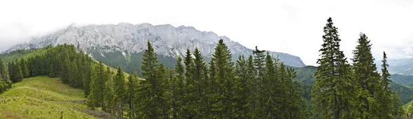 Panorama de fondo en Cárpatos. Hermosas montañas y tierra — Foto de Stock