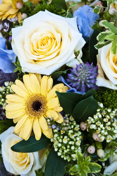 Bellissimo sfondo colorato fiore — Foto Stock