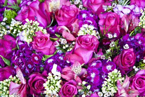Hermoso fondo de flores coloridas — Foto de Stock