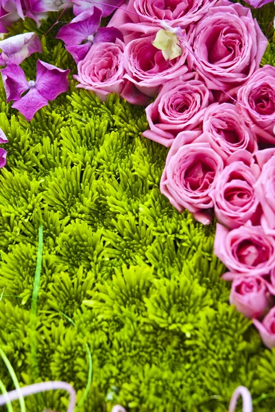 Красивый красочный цветочный фон — стоковое фото