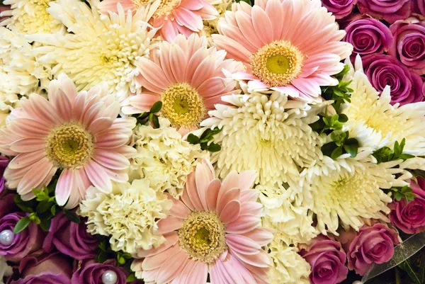 Hermoso fondo de flores coloridas — Foto de Stock