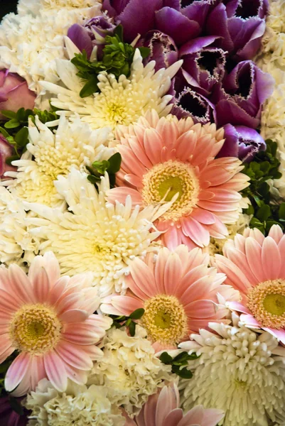 Krásné barevné květinové pozadí — Stock fotografie