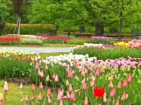 Parque central "Flora" en la ciudad de Olomouc - República Checa — Foto de Stock