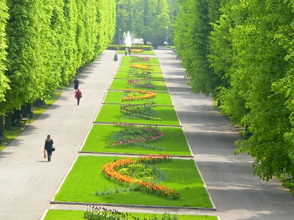 中央公园在奥洛穆茨城市 — — 捷克共和国的"花都" — 图库照片