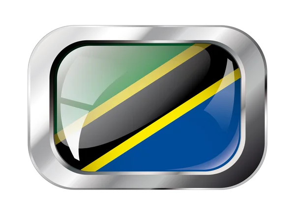 Tanzania przycisk błyszczący flaga wektor ilustracja. abstrac na białym tle — Wektor stockowy