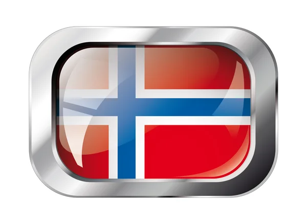 Norway shiny button flag vector illustration. Isolated abstract — Stock Vector