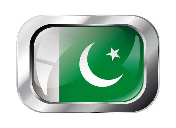 Pakistan shiny button flag vector illustration. Isolated abstrac — Stock Vector