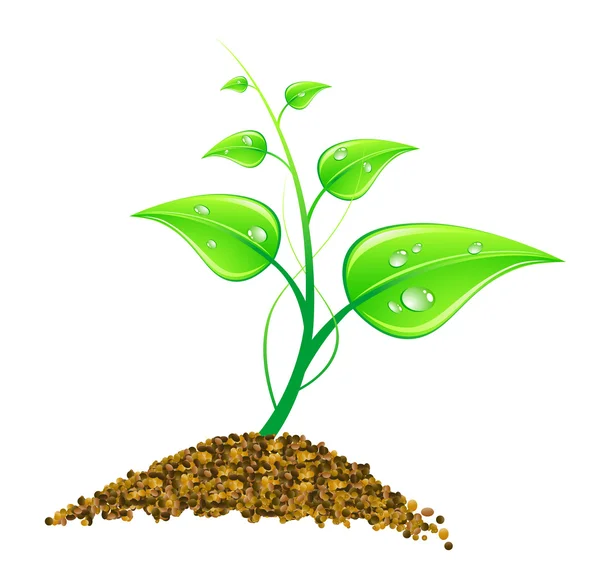 Ilustración vectorial concepto ambiental - hojas verdes, macro , — Vector de stock