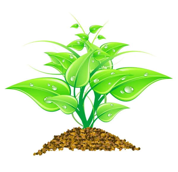 Ilustração vetorial conceito ambiental - folhas verdes, macro , — Vetor de Stock