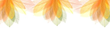 Transparent autumn leaves frame clipart