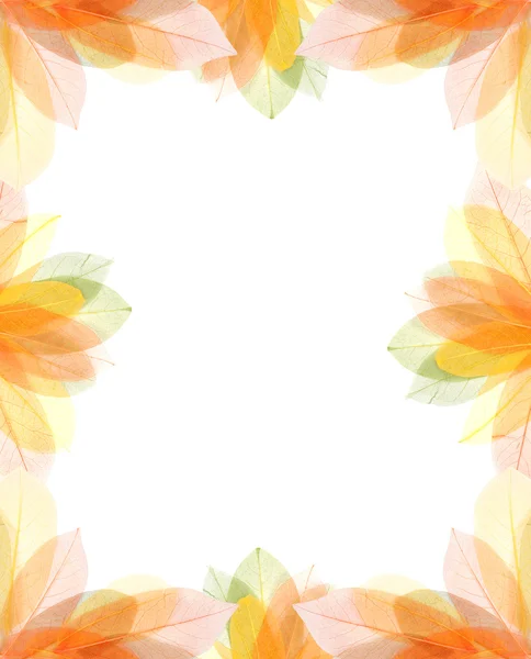 Transparante herfstbladeren frame — Stockfoto