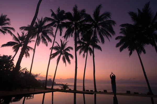 Yoga onder de kokosnoot bomen — Stockfoto
