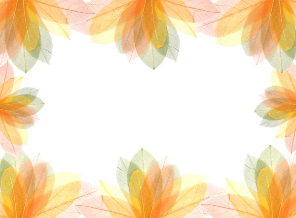 Marco transparente de hojas de otoño — Foto de Stock