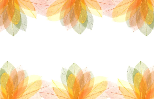 Transparent autumn leaves frame — Stock Photo, Image